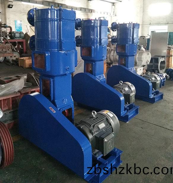 化工(gong)防腐抽(chou)真空(kong)專用(yong)設(shè)(she)備